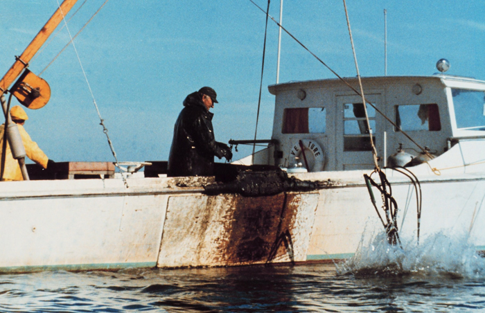 Estimating the Local Marine Economy: Telling Your Story